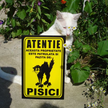 atentie......